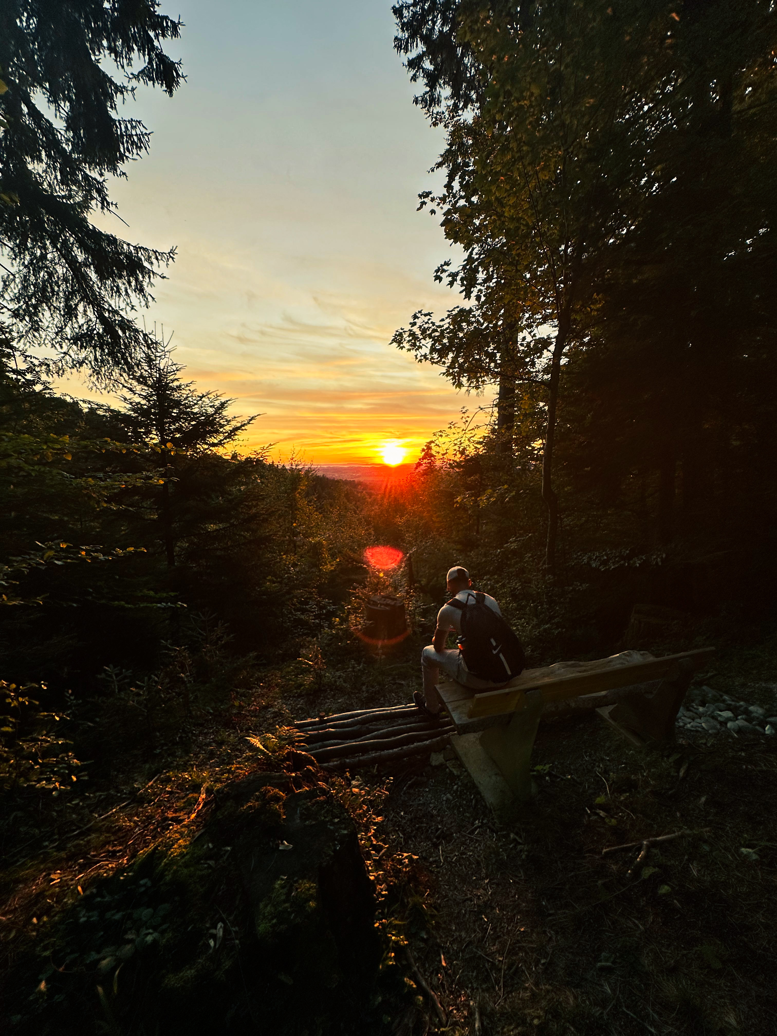 Johann bei Sonnenuntergang im Wald